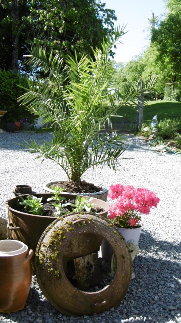 Bed and Breakfast Lazy Days Rancon Exterior foto